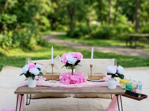 Luxury Vibe Picnic Experience 1-12 Guest